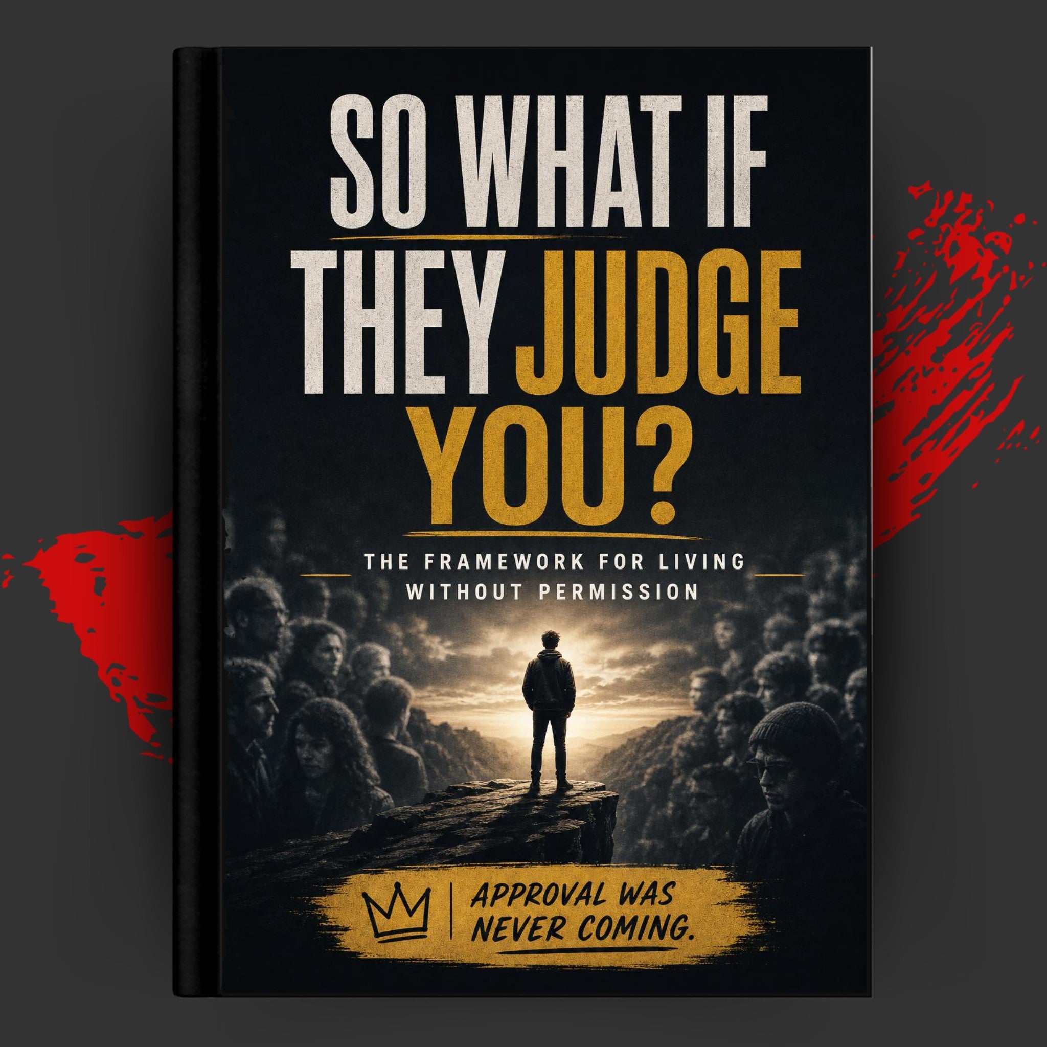 SO WHAT IF THEY JUDGE YOU?: The Framework For Living Without Permission